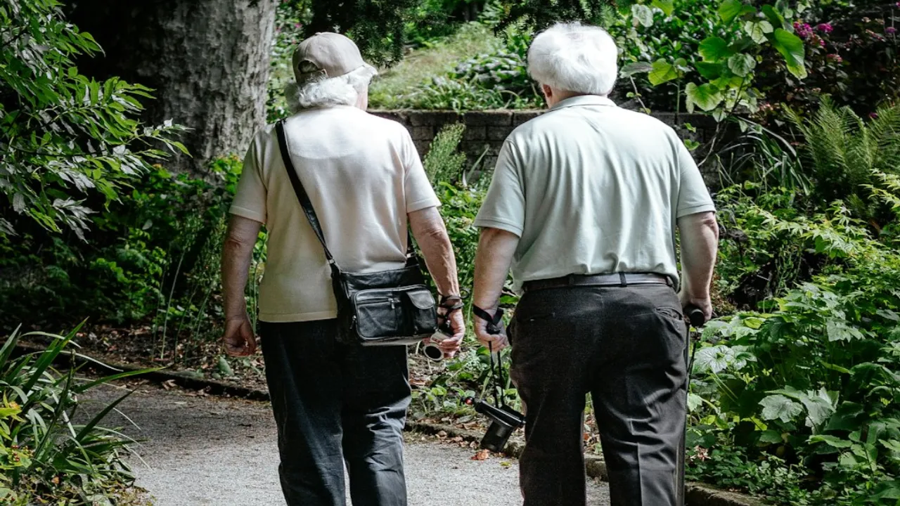 Senior Care